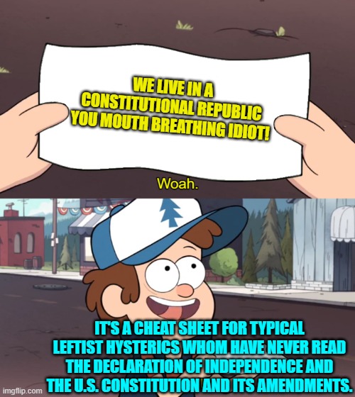 Apparently this needs to be circulated through all public school systems. | WE LIVE IN A CONSTITUTIONAL REPUBLIC YOU MOUTH BREATHING IDIOT! IT'S A CHEAT SHEET FOR TYPICAL LEFTIST HYSTERICS WHOM HAVE NEVER READ THE DECLARATION OF INDEPENDENCE AND THE U.S. CONSTITUTION AND ITS AMENDMENTS. | image tagged in it couldn't hurt | made w/ Imgflip meme maker