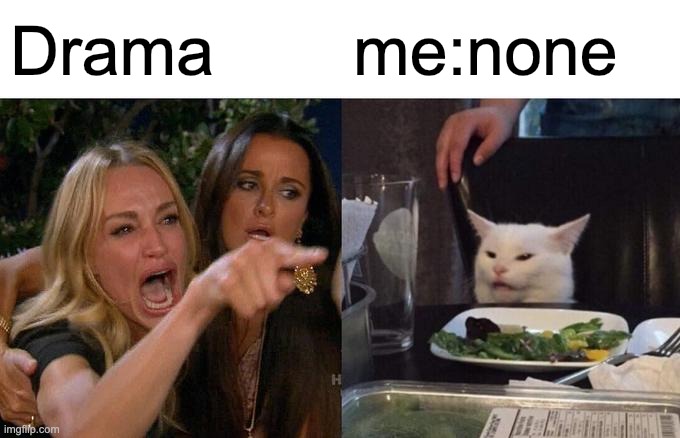 Woman Yelling At Cat |  Drama; me:none | image tagged in memes,woman yelling at cat,drama | made w/ Imgflip meme maker