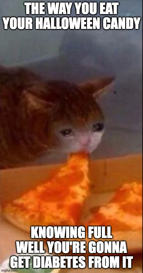 *crying intensifies* | THE WAY YOU EAT YOUR HALLOWEEN CANDY; KNOWING FULL WELL YOU'RE GONNA GET DIABETES FROM IT | image tagged in cat eating pizza while crying | made w/ Imgflip meme maker