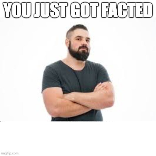 fact bomb | YOU JUST GOT FACTED | image tagged in facts,memes | made w/ Imgflip meme maker