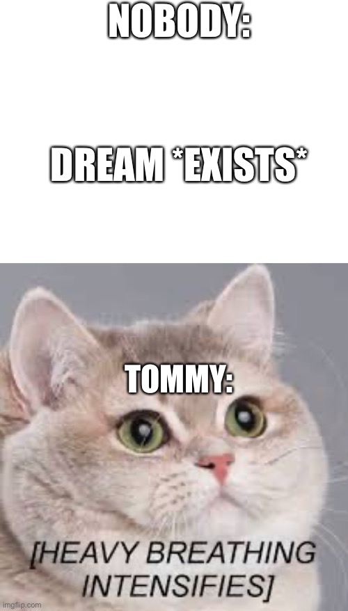 I was rewatching when Tommy tried to sneak in with Ghostbur and all I could think was about the heavy breathing | NOBODY:; DREAM *EXISTS*; TOMMY: | image tagged in heavy breathing cat,tommyinnit | made w/ Imgflip meme maker