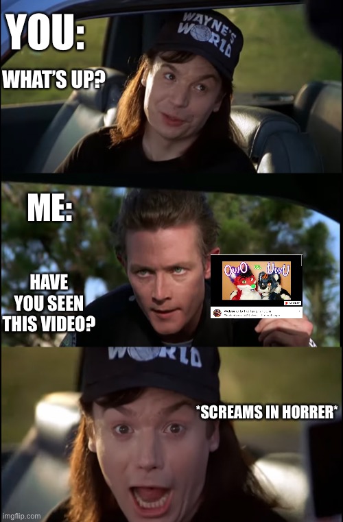 Have you seen it? |  YOU:; WHAT’S UP? ME:; HAVE YOU SEEN THIS VIDEO? *SCREAMS IN HORRER* | image tagged in furry,furry memes,the furry fandom,terminator,terminator 2 | made w/ Imgflip meme maker