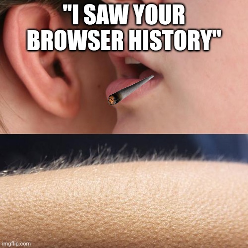 Whisper and Goosebumps | "I SAW YOUR BROWSER HISTORY" | image tagged in whisper and goosebumps | made w/ Imgflip meme maker