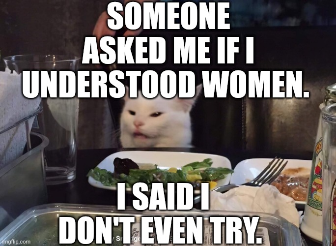  SOMEONE ASKED ME IF I UNDERSTOOD WOMEN. I SAID I DON'T EVEN TRY. | image tagged in smudge the cat | made w/ Imgflip meme maker