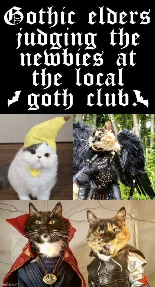 Gothic elders judging the newbies at the local goth club meme | image tagged in gothic elders judging the newbies at the local goth club meme | made w/ Imgflip meme maker