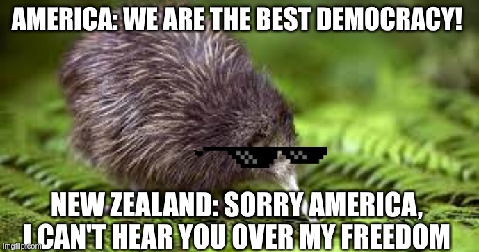 Swaag | AMERICA: WE ARE THE BEST DEMOCRACY! NEW ZEALAND: SORRY AMERICA, I CAN'T HEAR YOU OVER MY FREEDOM | image tagged in swag kiwi,new zealand | made w/ Imgflip meme maker