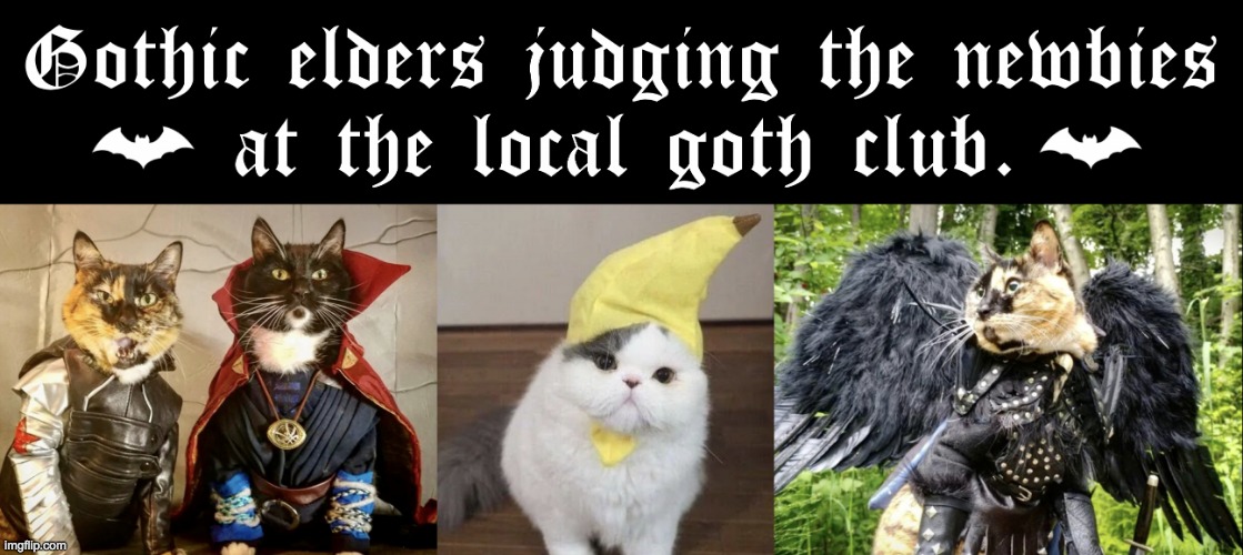 Gothic elders judging the newbies at the local goth club meme | image tagged in gothic elders judging the newbies at the local goth club meme | made w/ Imgflip meme maker