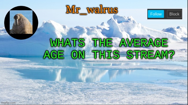 Genuinely curious | WHATS THE AVERAGE AGE ON THIS STREAM? | image tagged in mr_walrus | made w/ Imgflip meme maker