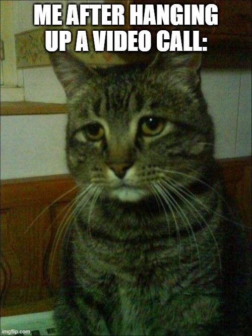 Depressed Cat | ME AFTER HANGING UP A VIDEO CALL: | image tagged in memes,depressed cat | made w/ Imgflip meme maker