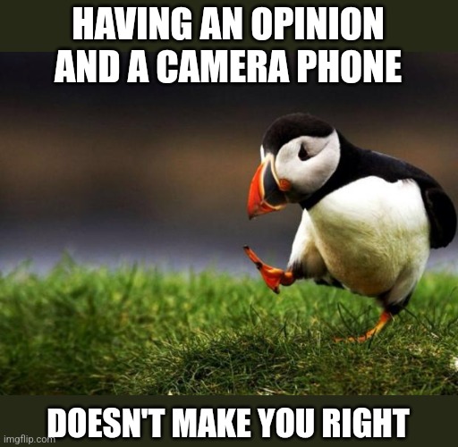 Ass Clowns | HAVING AN OPINION AND A CAMERA PHONE; DOESN'T MAKE YOU RIGHT | image tagged in memes,unpopular opinion puffin | made w/ Imgflip meme maker