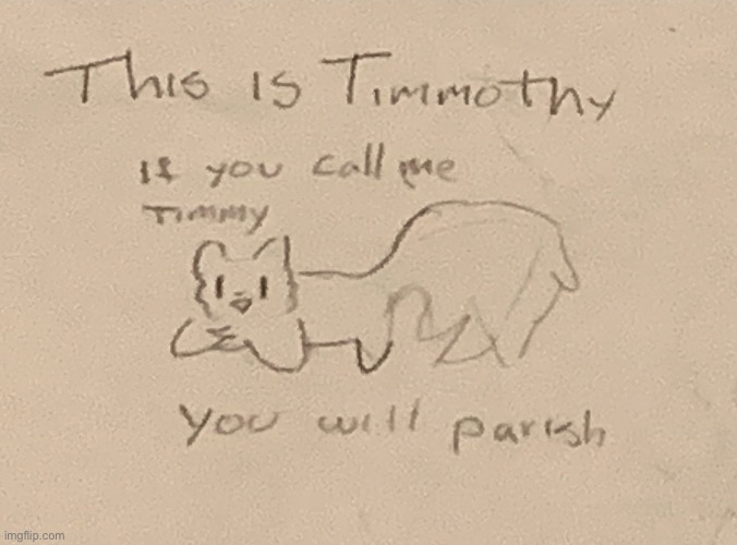 This is Timmothy | image tagged in this,is,timmothy,call him,timmy,and you will parish | made w/ Imgflip meme maker