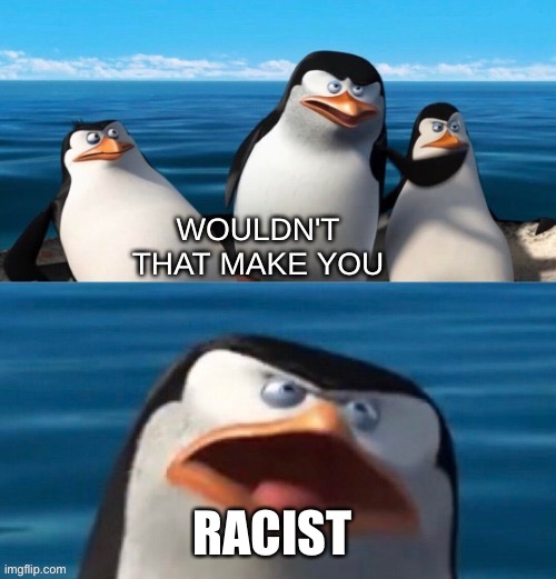 Wouldn't that make you blank | RACIST | image tagged in wouldn't that make you blank | made w/ Imgflip meme maker