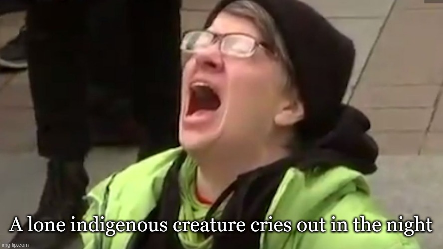 The cry of the Indigenous Creature | A lone indigenous creature cries out in the night | image tagged in memes,native american,native americans,mainstream media | made w/ Imgflip meme maker