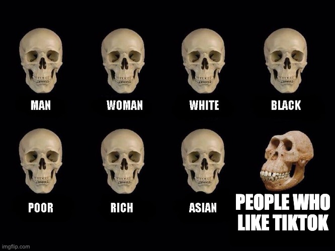 epik | PEOPLE WHO LIKE TIKTOK | image tagged in empty skulls of truth | made w/ Imgflip meme maker