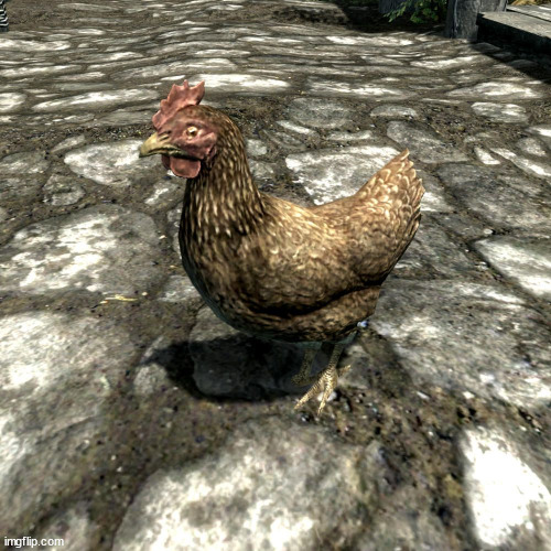 Skyrim Chicken | image tagged in skyrim chicken | made w/ Imgflip meme maker