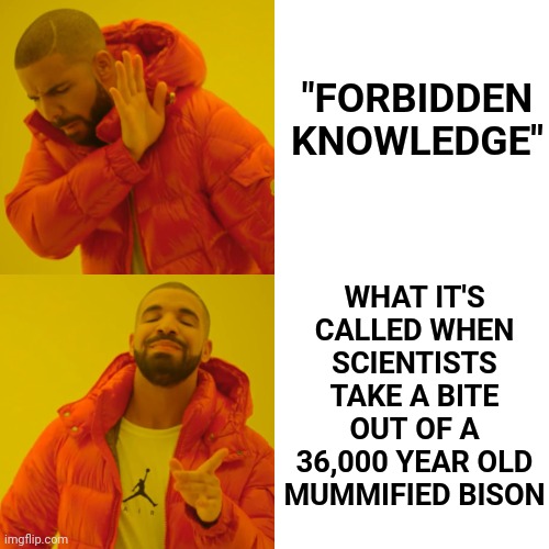 Why Didn't Someone Just Say No? |  "FORBIDDEN KNOWLEDGE"; WHAT IT'S CALLED WHEN SCIENTISTS TAKE A BITE OUT OF A 36,000 YEAR OLD MUMMIFIED BISON | image tagged in memes,drake hotline bling,no just no,no,ewwww,ewww | made w/ Imgflip meme maker