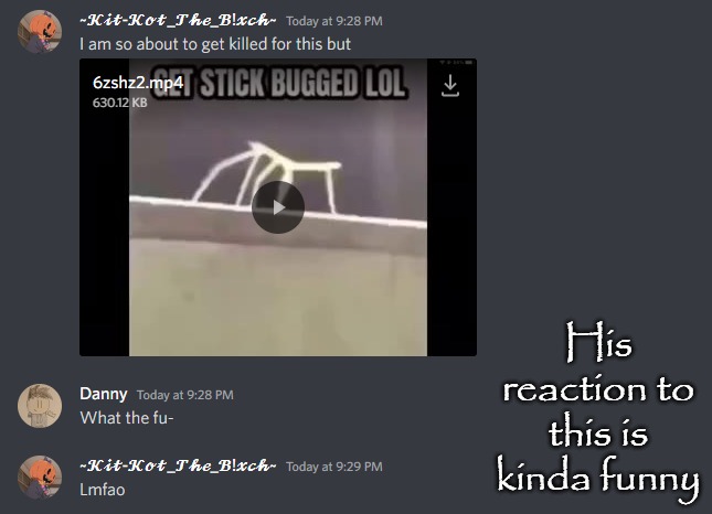 His reaction to this is kinda funny | made w/ Imgflip meme maker