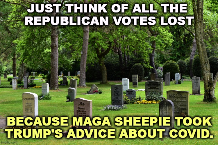 cemetery | JUST THINK OF ALL THE 
REPUBLICAN VOTES LOST; BECAUSE MAGA SHEEPIE TOOK TRUMP'S ADVICE ABOUT COVID. | image tagged in cemetery,trump,covid,murderer | made w/ Imgflip meme maker