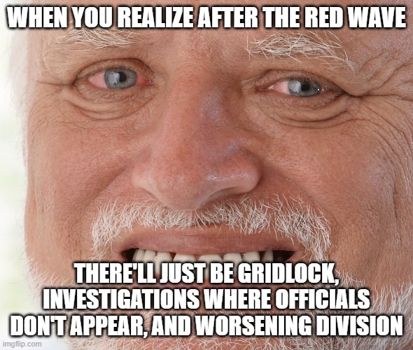 and blocked nominations | WHEN YOU REALIZE AFTER THE RED WAVE; THERE'LL JUST BE GRIDLOCK, INVESTIGATIONS WHERE OFFICIALS DON'T APPEAR, AND WORSENING DIVISION | image tagged in hide the pain harold | made w/ Imgflip meme maker
