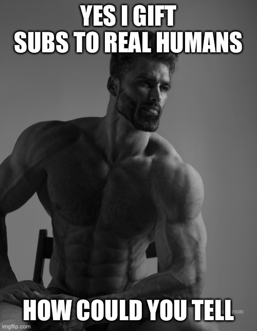 Twitch related | YES I GIFT SUBS TO REAL HUMANS; HOW COULD YOU TELL | image tagged in giga chad | made w/ Imgflip meme maker