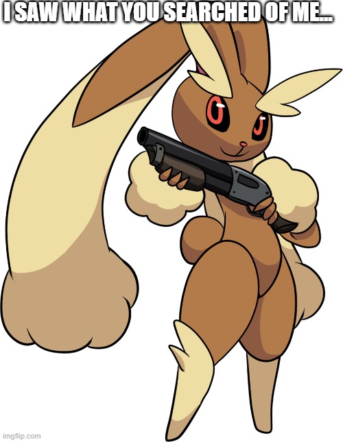 now you shall pay the price | I SAW WHAT YOU SEARCHED OF ME... | image tagged in lopunny with a shotgun | made w/ Imgflip meme maker