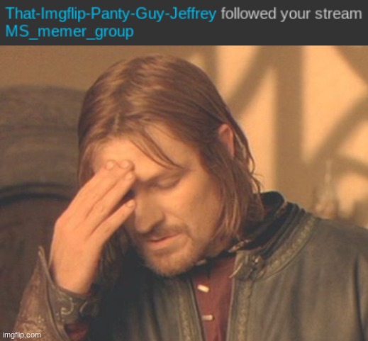 image tagged in memes,frustrated boromir | made w/ Imgflip meme maker