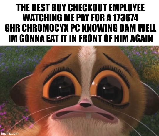 crying mort | THE BEST BUY CHECKOUT EMPLOYEE WATCHING ME PAY FOR A 173674 GHR CHROMOCYX PC KNOWING DAM WELL IM GONNA EAT IT IN FRONT OF HIM AGAIN | image tagged in crying mort | made w/ Imgflip meme maker