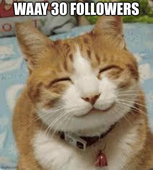 Happy cat | WAAY 30 FOLLOWERS | image tagged in happy cat | made w/ Imgflip meme maker