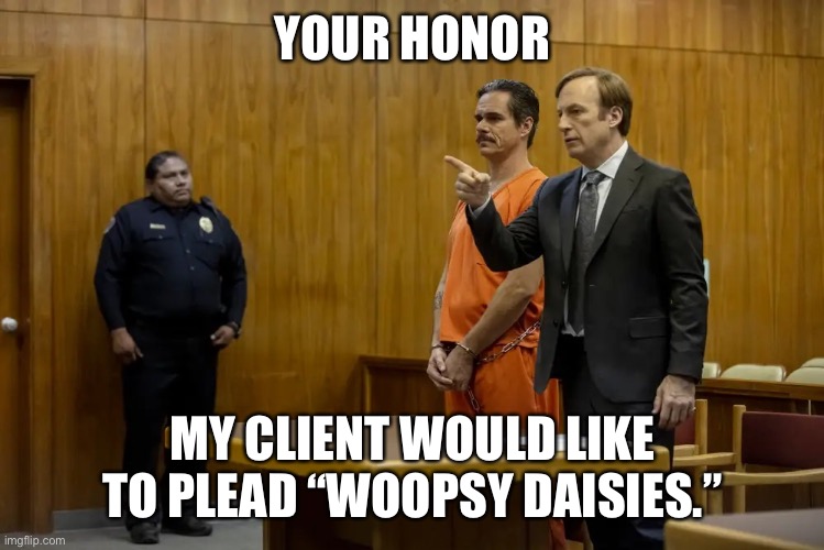 “Your Honor, My Client ___” | YOUR HONOR MY CLIENT WOULD LIKE TO PLEAD “WOOPSY DAISIES.” | image tagged in your honor my client ___ | made w/ Imgflip meme maker
