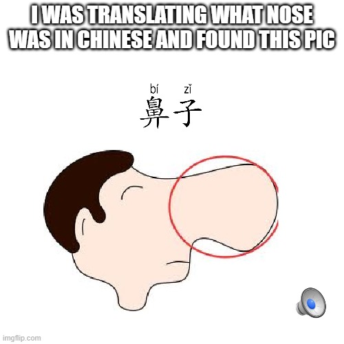 It's Quandale Dingle here | I WAS TRANSLATING WHAT NOSE WAS IN CHINESE AND FOUND THIS PIC | image tagged in memes,quandale dingle | made w/ Imgflip meme maker