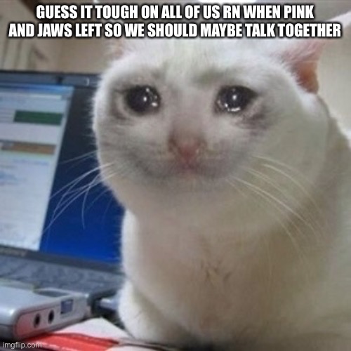 Sadness 100 | GUESS IT TOUGH ON ALL OF US RN WHEN PINK AND JAWS LEFT SO WE SHOULD MAYBE TALK TOGETHER | image tagged in crying cat | made w/ Imgflip meme maker