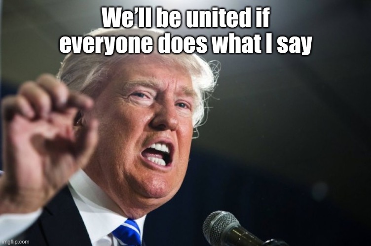 donald trump | We’ll be united if everyone does what I say | image tagged in donald trump | made w/ Imgflip meme maker