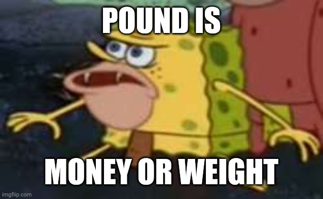 Spongegar | POUND IS; MONEY OR WEIGHT | image tagged in memes,spongegar | made w/ Imgflip meme maker