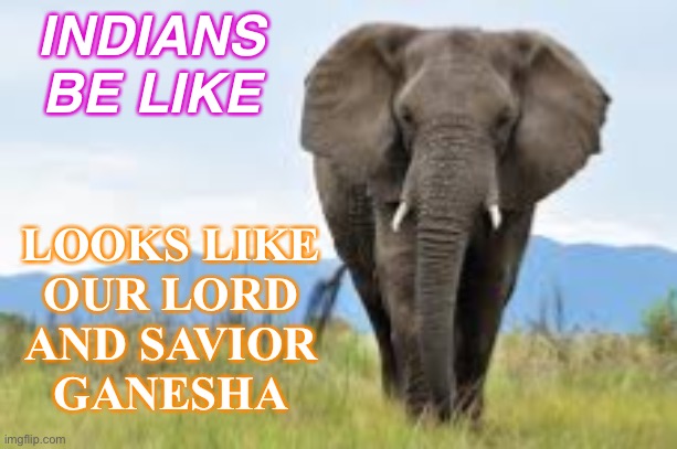 Indians be like... Looks like our Lord and Savior Ganesha | INDIANS BE LIKE; LOOKS LIKE
OUR LORD
AND SAVIOR
GANESHA | image tagged in elephant | made w/ Imgflip meme maker