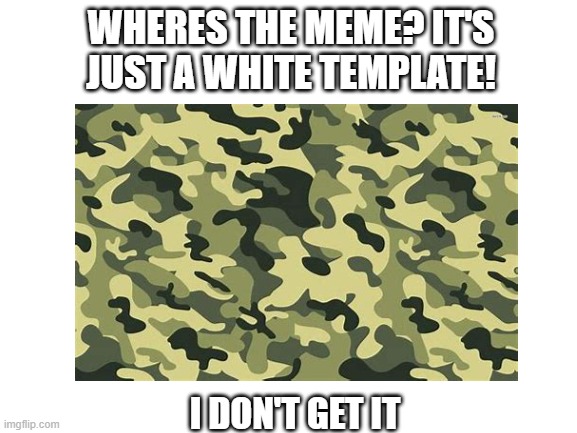 Where's the meme tho | WHERES THE MEME? IT'S JUST A WHITE TEMPLATE! I DON'T GET IT | image tagged in what | made w/ Imgflip meme maker