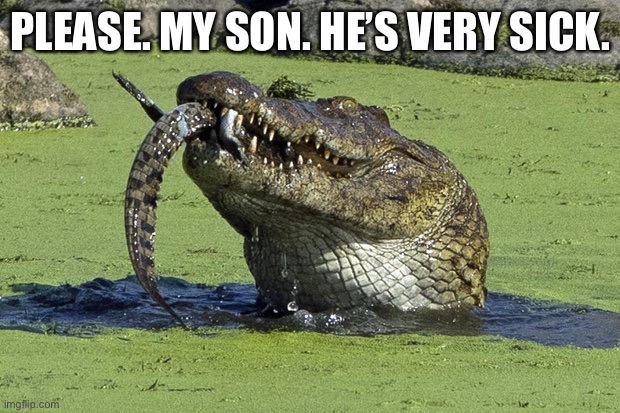 Please. Help me. | PLEASE. MY SON. HE’S VERY SICK. | image tagged in cannibal croc,calling in sick,my son,sick | made w/ Imgflip meme maker