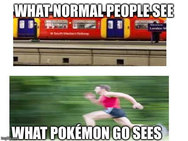 pokémon go be like | WHAT NORMAL PEOPLE SEE; WHAT POKÉMON GO SEES | image tagged in pokemon | made w/ Imgflip meme maker