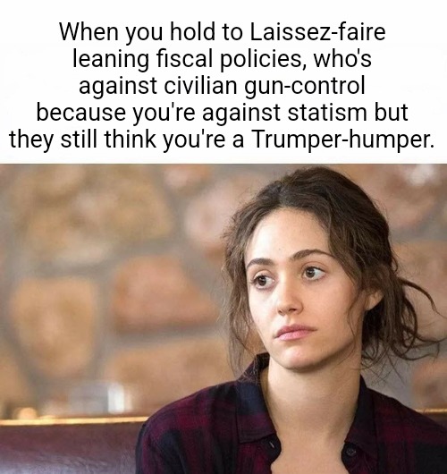 I'm No Trumper-Humper | When you hold to Laissez-faire leaning fiscal policies, who's against civilian gun-control because you're against statism but they still think you're a Trumper-humper. | image tagged in do y all ever get pre-annoyed,trump,economy,money,republican,gun control | made w/ Imgflip meme maker