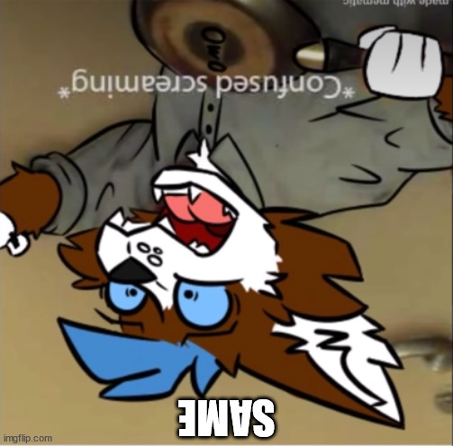 Confused furry screaming | SAME | image tagged in confused furry screaming | made w/ Imgflip meme maker
