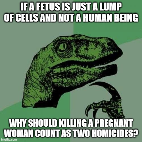 Can those who consider abortion a "civil right" please explain this one to me? | IF A FETUS IS JUST A LUMP OF CELLS AND NOT A HUMAN BEING; WHY SHOULD KILLING A PREGNANT WOMAN COUNT AS TWO HOMICIDES? | image tagged in memes,philosoraptor,abortion | made w/ Imgflip meme maker