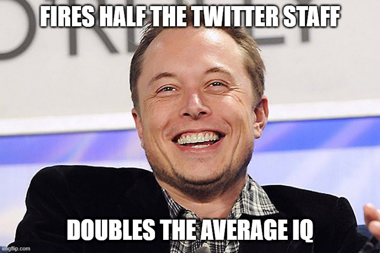 Elon musk | FIRES HALF THE TWITTER STAFF DOUBLES THE AVERAGE IQ | image tagged in elon musk | made w/ Imgflip meme maker