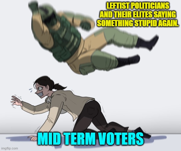 Yep . . . pretty much. | LEFTIST POLITICIANS AND THEIR ELITES SAYING SOMETHING STUPID AGAIN. MID TERM VOTERS | image tagged in rainbow six - fuze the hostage | made w/ Imgflip meme maker