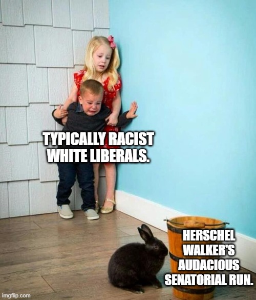 Yeah leftists; this is the actual truth, and you know it. | TYPICALLY RACIST WHITE LIBERALS. HERSCHEL WALKER'S AUDACIOUS SENATORIAL RUN. | image tagged in children scared of rabbit | made w/ Imgflip meme maker