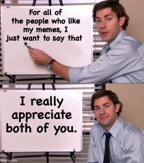 Appreciate | For all of the people who like my memes, I just want to say that; I really appreciate both of you. | image tagged in jim halpert explains | made w/ Imgflip meme maker