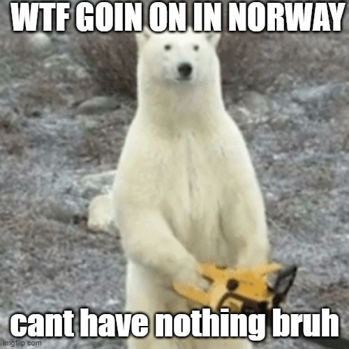 wtf goin on in norway bruh | WTF GOIN ON IN NORWAY; cant have nothing bruh | image tagged in funny memes,norway,iceberg,memes | made w/ Imgflip meme maker