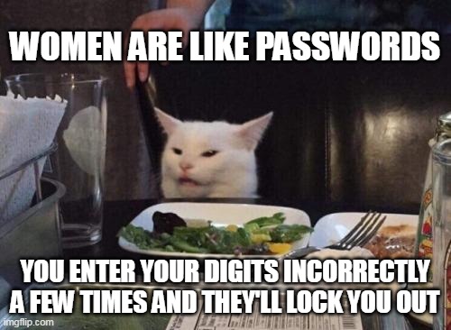 Salad cat | WOMEN ARE LIKE PASSWORDS; YOU ENTER YOUR DIGITS INCORRECTLY A FEW TIMES AND THEY'LL LOCK YOU OUT | image tagged in salad cat,meme,memes,funny,humor | made w/ Imgflip meme maker