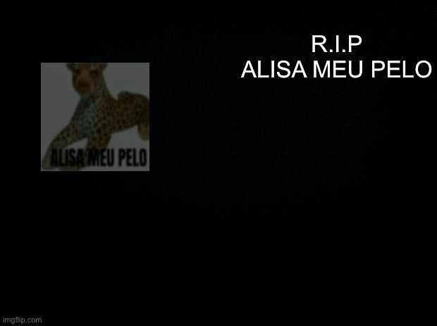 Alisa meu pelo died (probally) | R.I.P ALISA MEU PELO | image tagged in black background | made w/ Imgflip meme maker