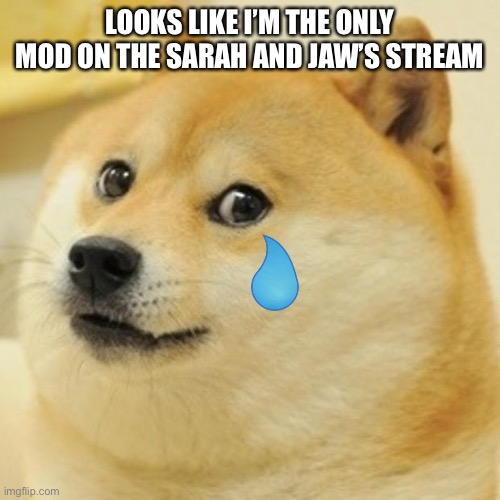 :( | LOOKS LIKE I’M THE ONLY MOD ON THE SARAH AND JAW’S STREAM | image tagged in memes,doge | made w/ Imgflip meme maker