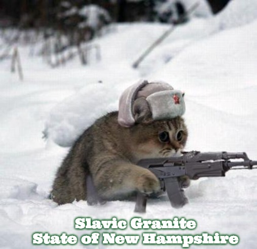 Cute Sad Soviet War Kitten | Slavic Granite State of New Hampshire | image tagged in cute sad soviet war kitten,slavic,slm,blm | made w/ Imgflip meme maker