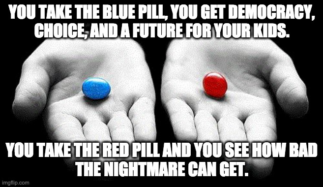 The red pill causes cancer in rats, so... | YOU TAKE THE BLUE PILL, YOU GET DEMOCRACY,
CHOICE, AND A FUTURE FOR YOUR KIDS. YOU TAKE THE RED PILL AND YOU SEE HOW BAD
THE NIGHTMARE CAN GET. | image tagged in red pills blue pills,memes,democracy,vote | made w/ Imgflip meme maker